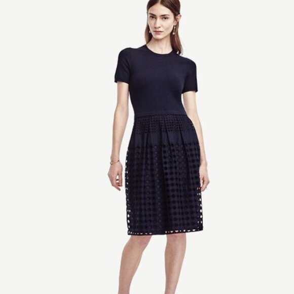 Ann Taylor Navy Knit & Cotton Eyelet Mixed Media Dress - Size L - Picture 1 of 9
